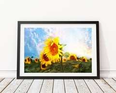 Sunflower Field Flower Wall Art, Bathroom Bedroom Photography Print