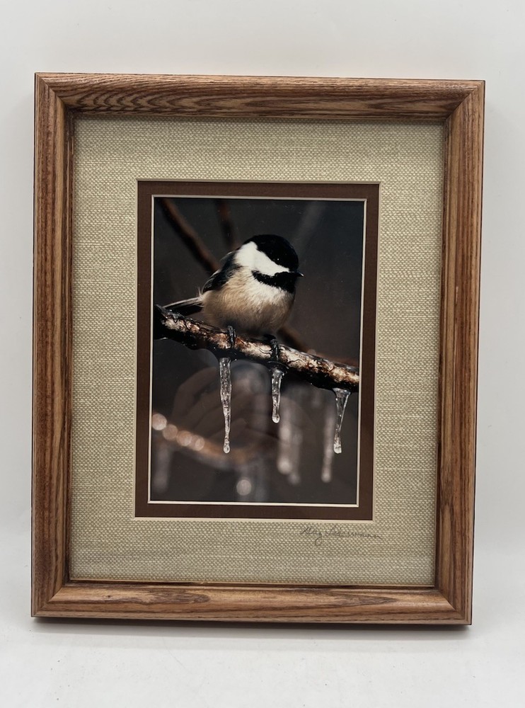 Chickadee On A Branch Original Photography Wooden Framed Signed Greg Ledermann