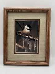 Chickadee On A Branch Original Photography Wooden Framed Signed Greg Ledermann