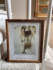 Gold Framed 8×10 Photo Of Deer In FL Wildlife Nature Animal Lover Emerson Quote