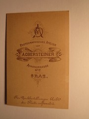 sitting young woman in crinoline with album – backdrop / CDV A. Obersteiner Graz
