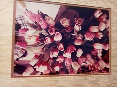 21×17 Vintage Art Photograph TULIPS BY JULIAN E. CARABALLO