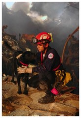 World Trade Center 9/11 Rescue Dog And Handler Silver Halide Photo