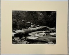Original GORDON H HASTINGS California Yosemite Death Valley Gelatin PHOTOGRAPHS