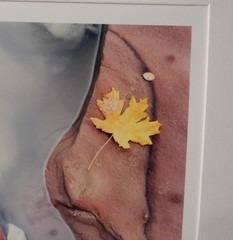 Vintage 1996 Steve Solinsky Nature Art Photo Smokey Water