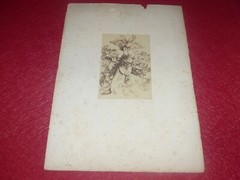 Bisson Freres Albrecht Durer 1861 Vintage Photo 4 Albumen Prints Passion Jesus