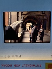 Lot Of 23 1983 Vienna Austria Spanish Riding School Amateur 35mm Color Slides