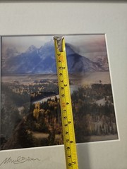 Winter / Summer 2-Phase 3D Picture Signed by Michael Brown