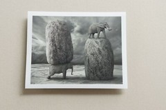 Signed ORIGINAL Animal Art Folio of Hippos Elephants Giraffe Camel & Fish Prints