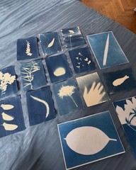 Botanical Cyanotype Print | Handmade Blue Sun Print | Fine Art Photography 20×30