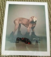 WILLIAM WEGMAN ‘Roller Rover’, 1987 SIGNED Ltd. Ed. Photograph 14 x 11 in. *NEW*