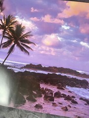 Tropical Sunset Ocean Palm Tree Landscape Brad Wagner 18×22