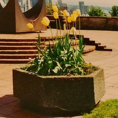 Vtg Changing Form Sculpture Photo Poster 16×20 Seattle Space Needle Kerry Park