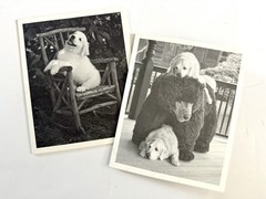 Pair of Bruce Weber Original SIGNED Cards with Provenance 2017 & 2010 Rare