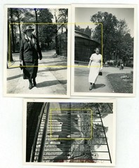 17 photos zoo zoological garden Berlin 1933 lions elephants leopards walrus