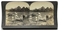 PHILIPPINES Rural Life Scene At Manila c1900 Stereo Photo Vintage