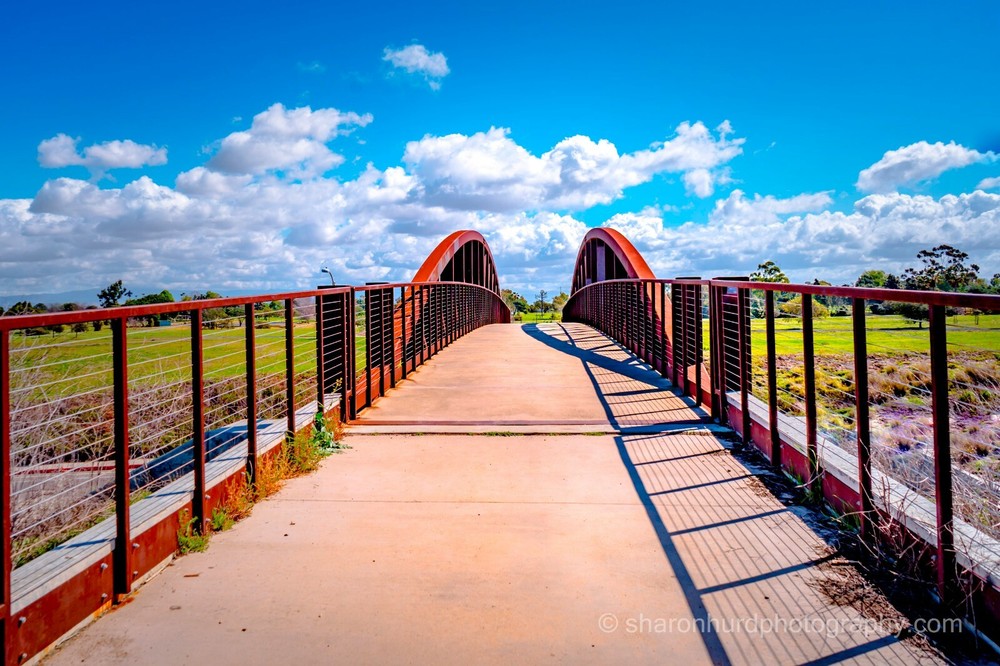 Landscape Photography, Bridge photo nature wall decor