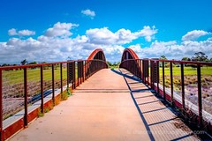 Landscape Photography, Bridge photo nature wall decor