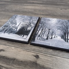 Set of 2 Cyndi Schiek Pictures On Wood 8×6” Paris City Scape Photography B&W