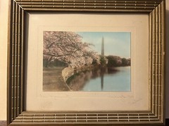 Rare Royal A. Carlock signed Framed Photograph – National Monument Cherry Trees
