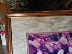 21×17 Vintage Art Photograph TULIPS BY JULIAN E. CARABALLO