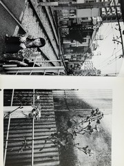 🎈Signed Nobuyoshi Araki – Tokyo Tabi Nikki, w/ Original Drawing “Arakiss” 2003