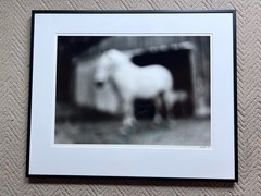 Mary Ludington Signed 1995 Framed Horse Photograph Fine Art B&W Equine 29.5×23.5