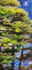 David Harrison Digital Photography Acrylic Art Chicago Botanic Garden Bonsai ’17
