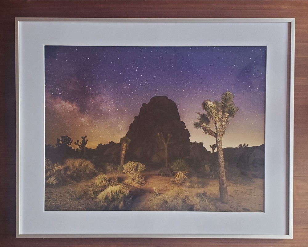 Fine Art Photograph of Joshua Tree National Park w/ Night Sky Signed & Framed