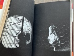 Daido Moriyama – Tales of Tono, 1976, Tono MONOGATARI, 1st Ed MEGA RARE
