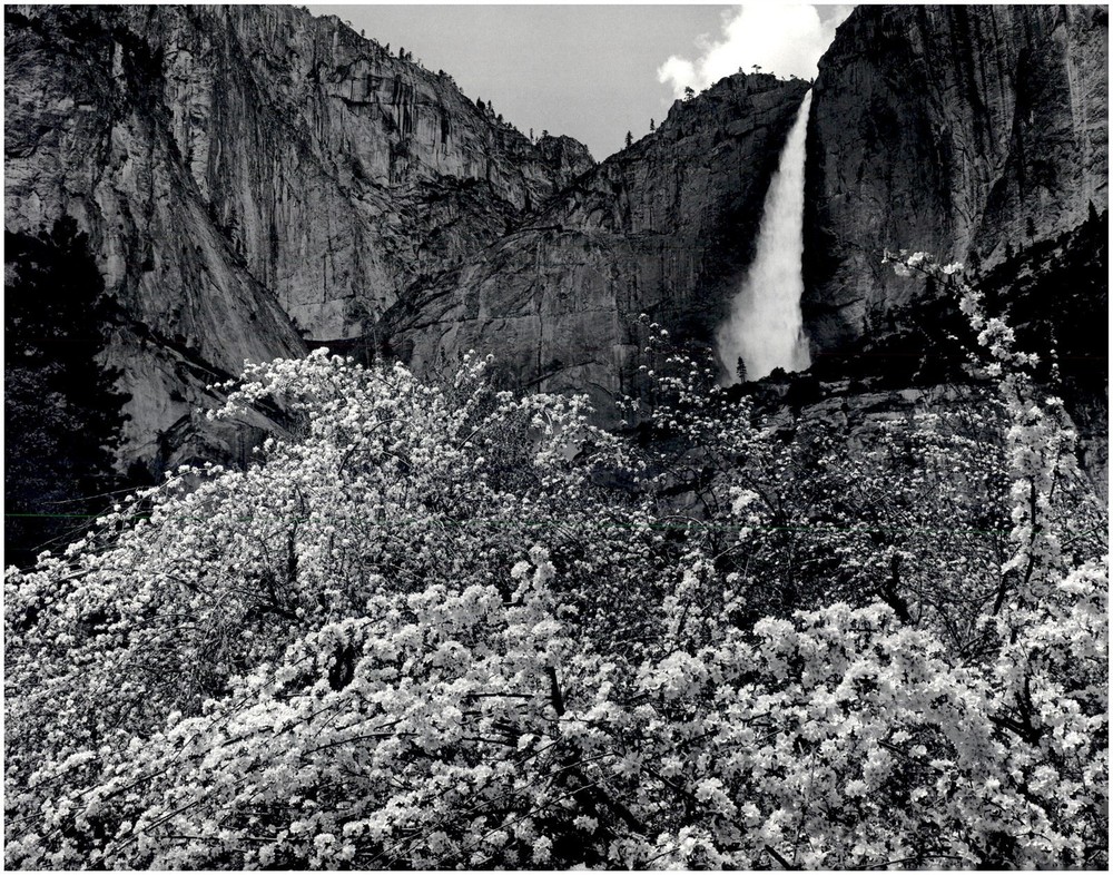 1936 1990s Ansel Adams Upper Yosemite Falls & Apple Blossoms Large Art Photo