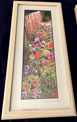 Joseph Barnett signed framed photo Kennebunk Maine wildflowers