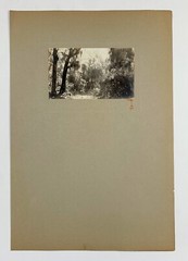 Signed Rudolf EICKEMEYER Foliage and Spanish Moss, 1921 Silver Print Photo