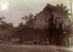 Larger size C. B. WAITE photo, Homes of coffee growers, Mexico, rare, , Vintage