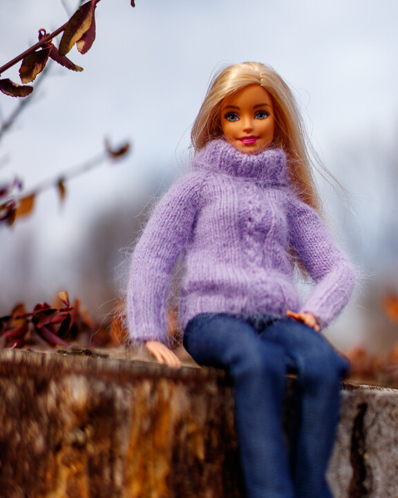 Barbie Enjoys a Beautiful Winter Day Photograph