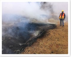 Geologist Examines Fissure 10 Kilauea Volcano 2018 Silver Halide Photo