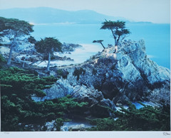 Robert Sheer Spirits Honoring the Lone Cypress Single Exp Photograph Hand signed