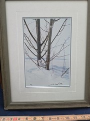 Thomas Mangelsen – Ermine in Trees (Signed 1999) 10×14 Framed