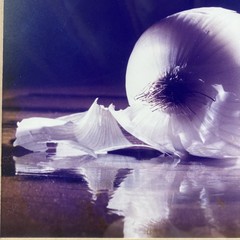 Framed Art Gore Photo Print Onion Gold Frame 16 x 12, image 9 x 7 – Food