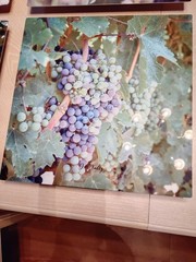 Lot of 4 Fine Art Photography On Metal – Signed RETAILS $175 EA – Vineyard Theme