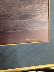 Framed and Matted Photograph Of South Haven Lighthouse By Appleyards 18” X 15.5”