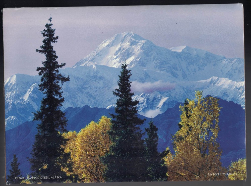 Myron Rosenberg Photography Photo Print: Denali TRAPPER CREEK Mini Poster 9.5×7