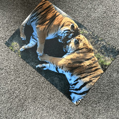 Tiger Love Photography Print 16×24 (2of3)
