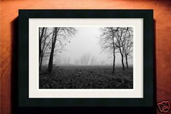 TREE-LINED FIELD ON A FOGGY MORNING 12×18 Photo Print