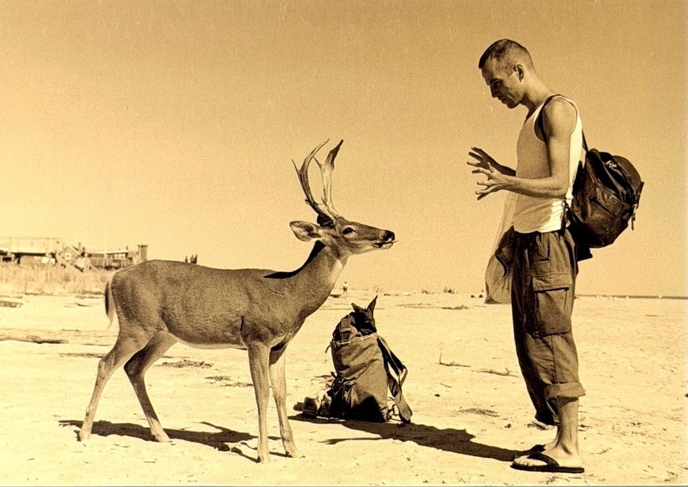 Wolfgang Tillmans Art Photo Print Card By Fotofolio – Deer Hirsch, 1995