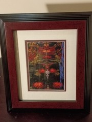 5-Piece Framed Timothy Wolcott Fine Art Photography Collection 4 Signed 1 Not