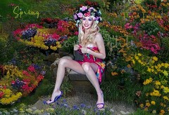 «Four Seasons» art photos size 13 x 19 inches