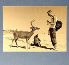 Wolfgang Tillmans Art Photo Print Card By Fotofolio – Deer Hirsch, 1995