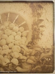 Beautiful Antique Albumen Print Photograph of Bushel of Apples, Lovely!