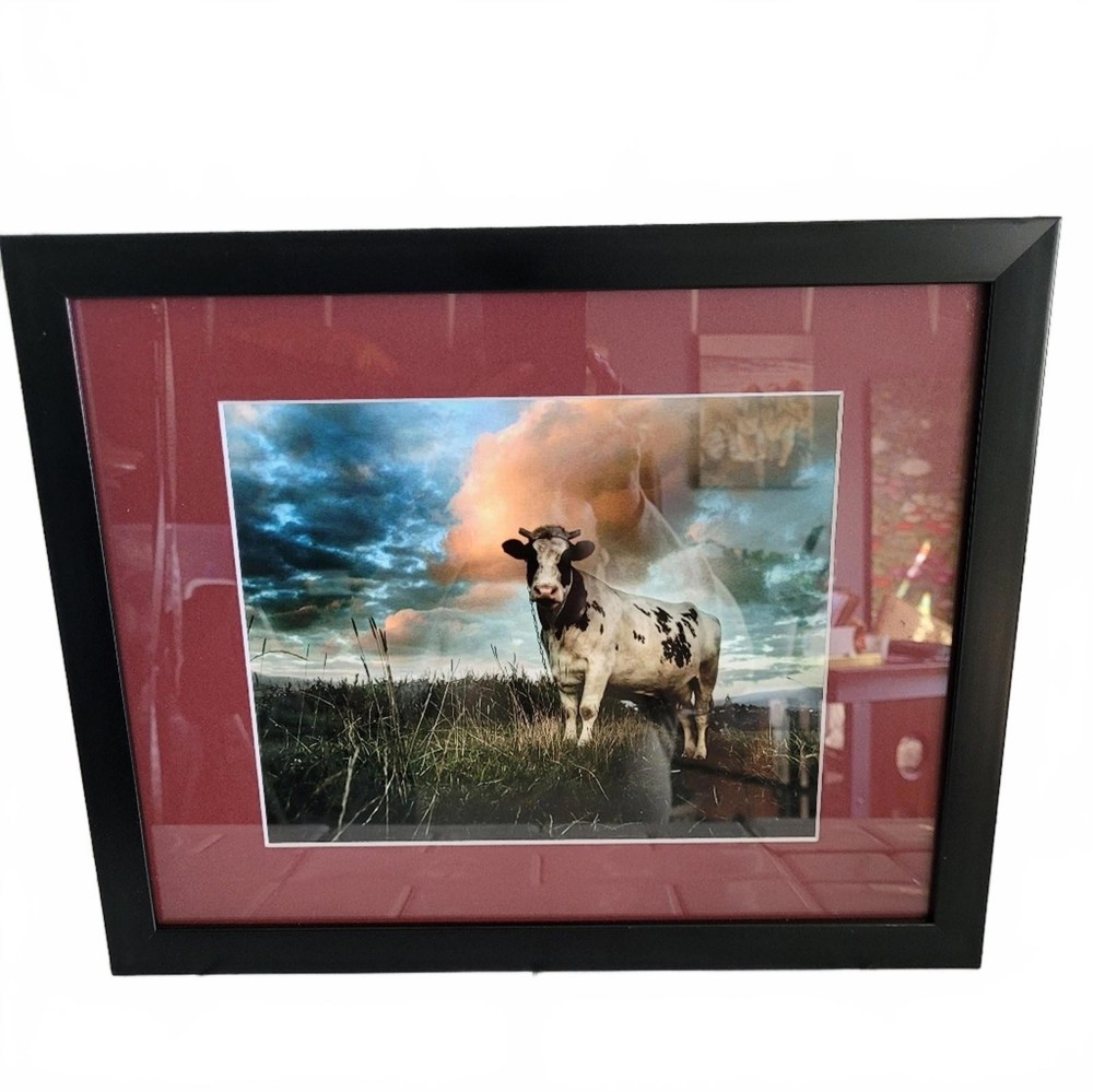 15×13 Framed Art  Enhanced Color Photography  Theme ‘The Cow’  Lightweight Frame